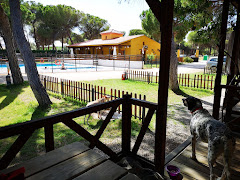 Camping Riberduero en Peñafiel - Small camping in rural Spain