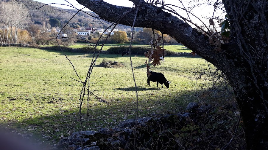 Área de Descanso Cantagallo