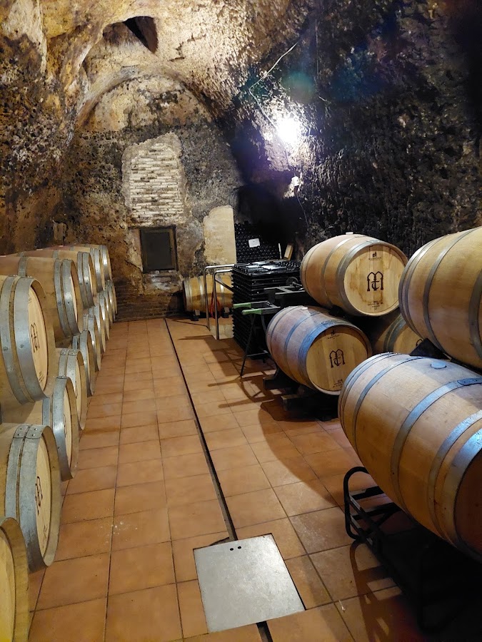 Bodega Muelas
