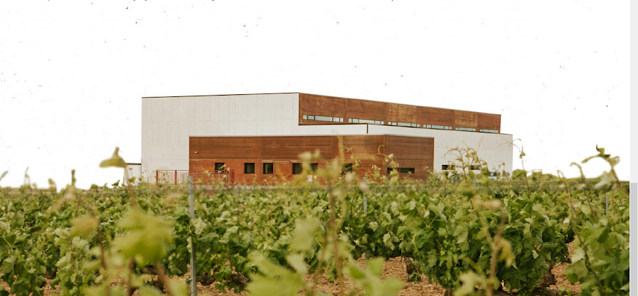 Bodegas Salvueros