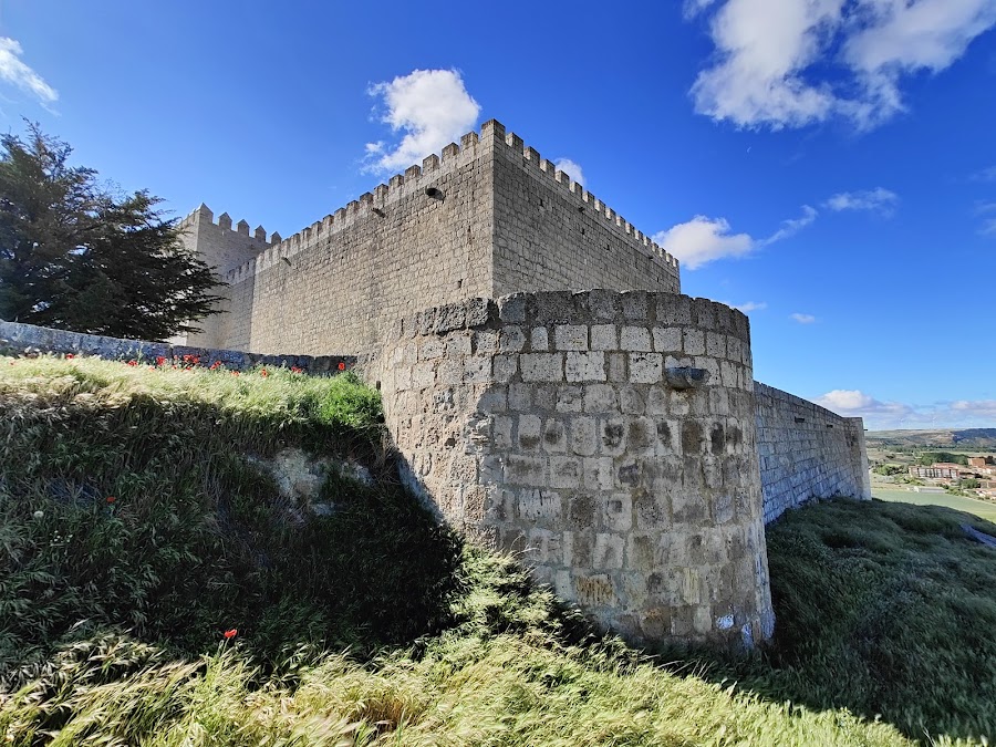 Castillo de Monzón de Campos