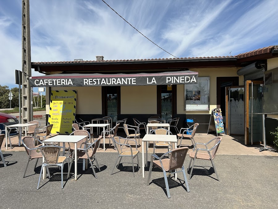 La Pineda de León