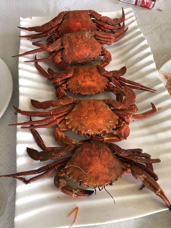 Pescados Albamar S L